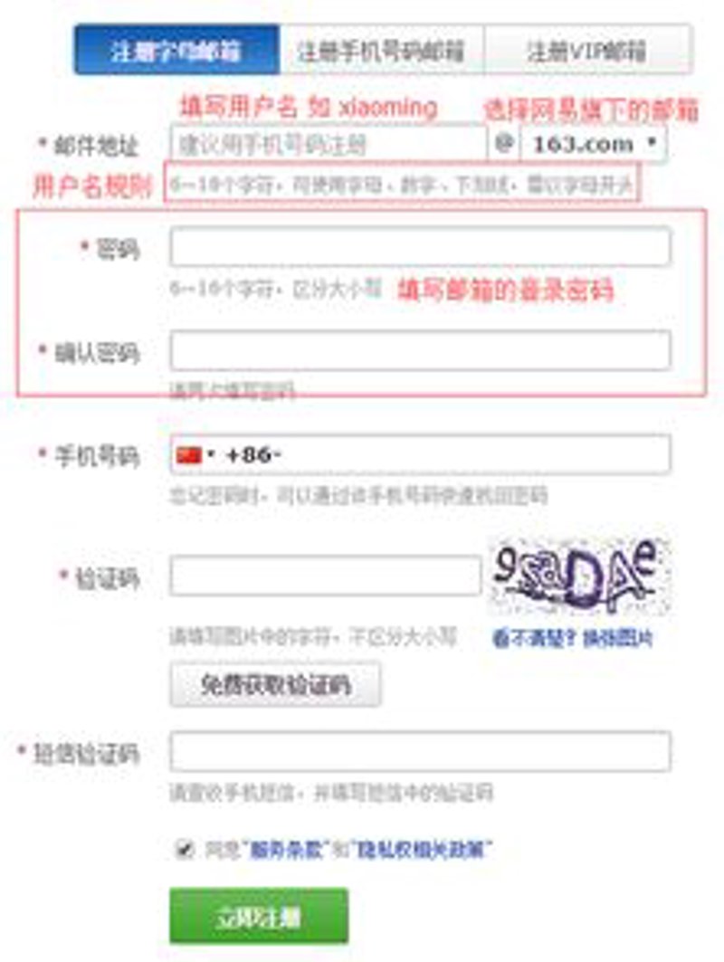 辽宁网站建设行业的最新风向标